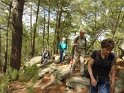 2014-06-05 11-03-55 Foret de Fontainebleau FGn